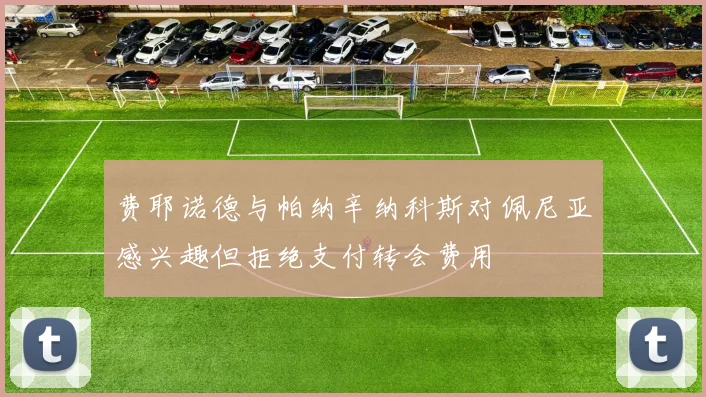 费耶诺德与帕纳辛纳科斯对佩尼亚感兴趣但拒绝支付转会费用